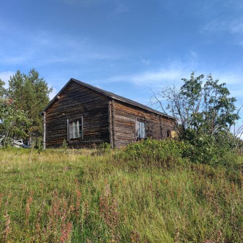 hirsinen rakennus heinikossa kummulla